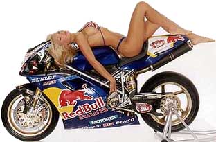 copgirlmoto2.jpg (23600 byte)