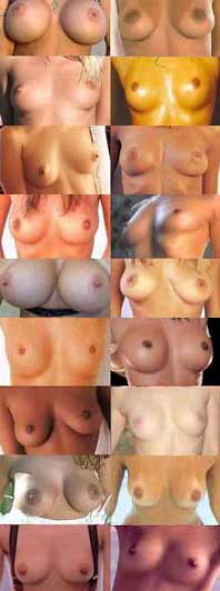 funtits.jpg (18325 byte)